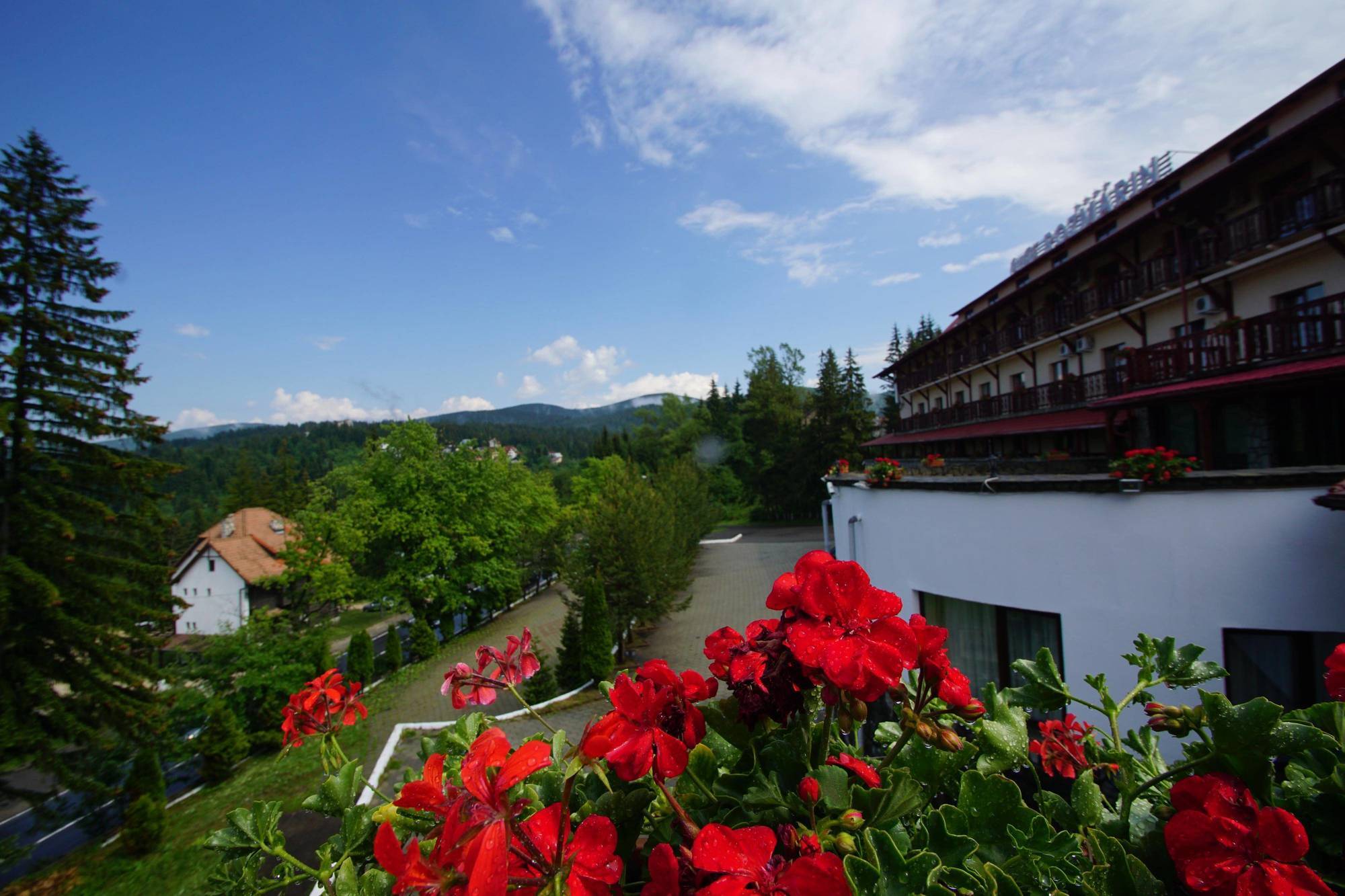 Hotel Rozmarin Predeal Exteriér fotografie